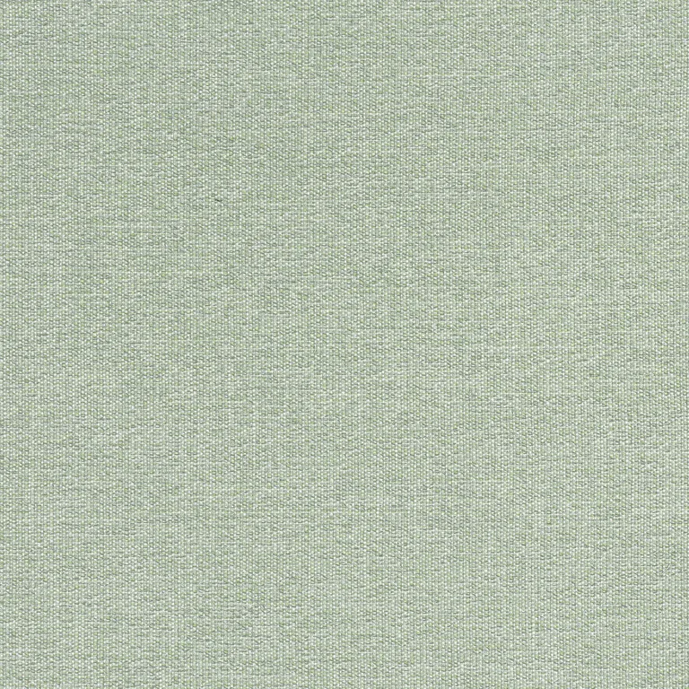 Thibaut Sacchi in Aloe (W8759)