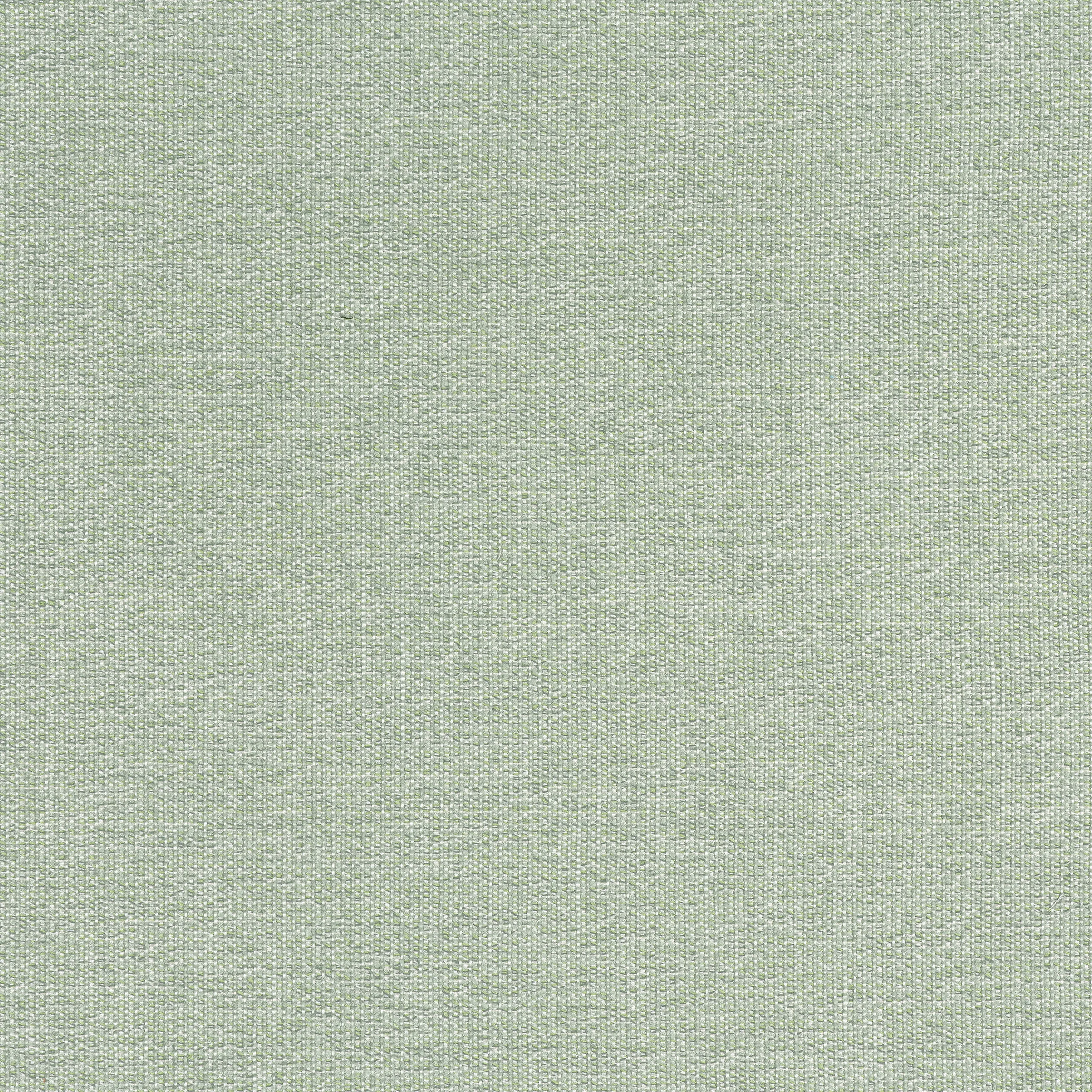W8759 | Sacchi – Aloe
