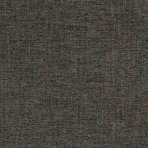Thibaut Sacchi in Ebony (W8758)
