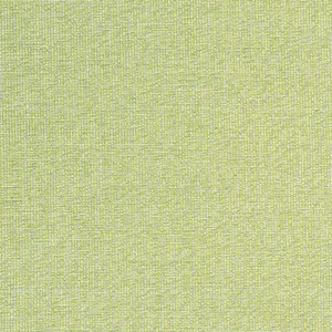 Thibaut Sacchi in Leaf (W8763)