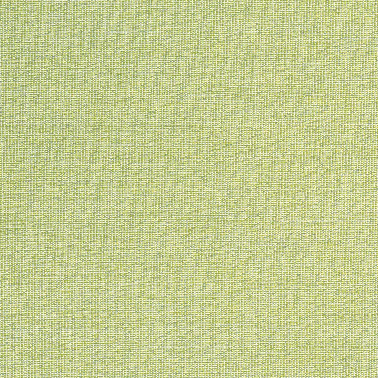 Thibaut Sacchi in Leaf (W8763)