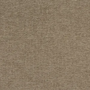Thibaut Sacchi in Mocha (W8757)