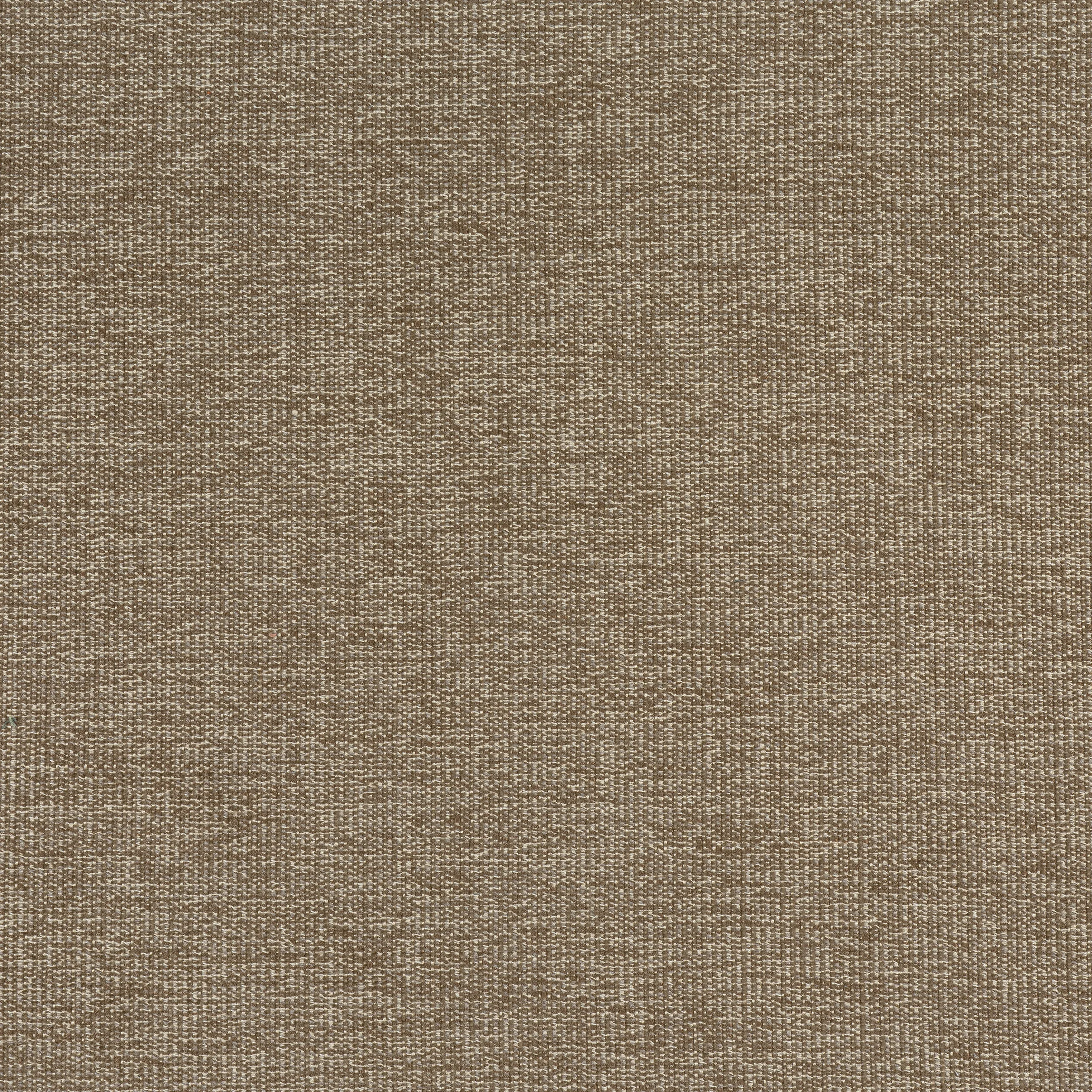 W8757 | Sacchi – Mocha