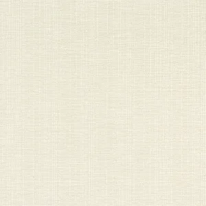 Thibaut Sacchi in Parchment (W8753)