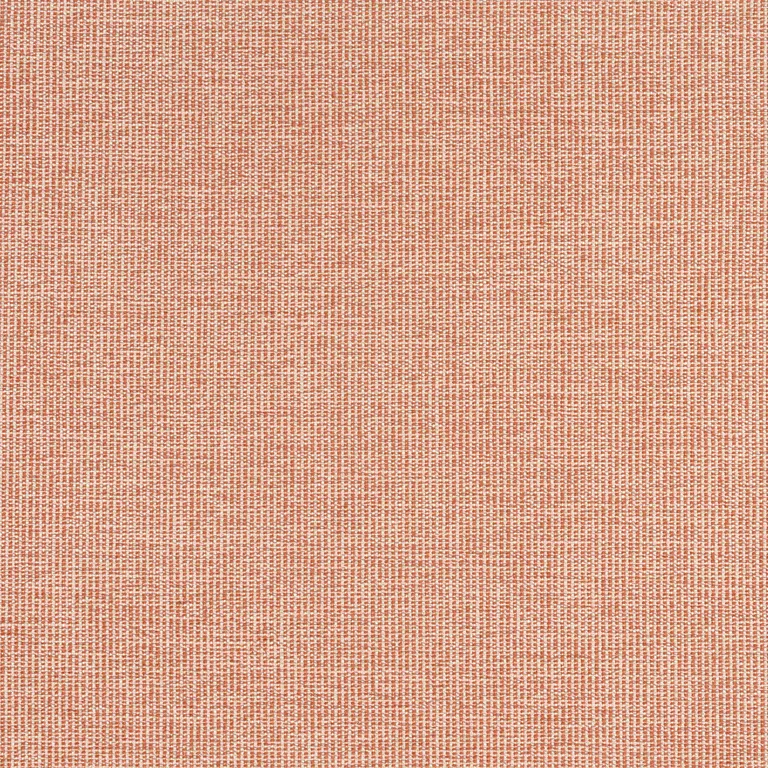 Thibaut Sacchi in Terracotta (W8761)