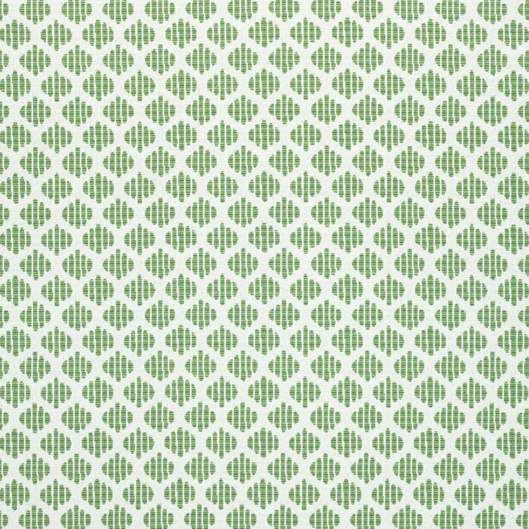 Thibaut Sadie in Green (W73508)