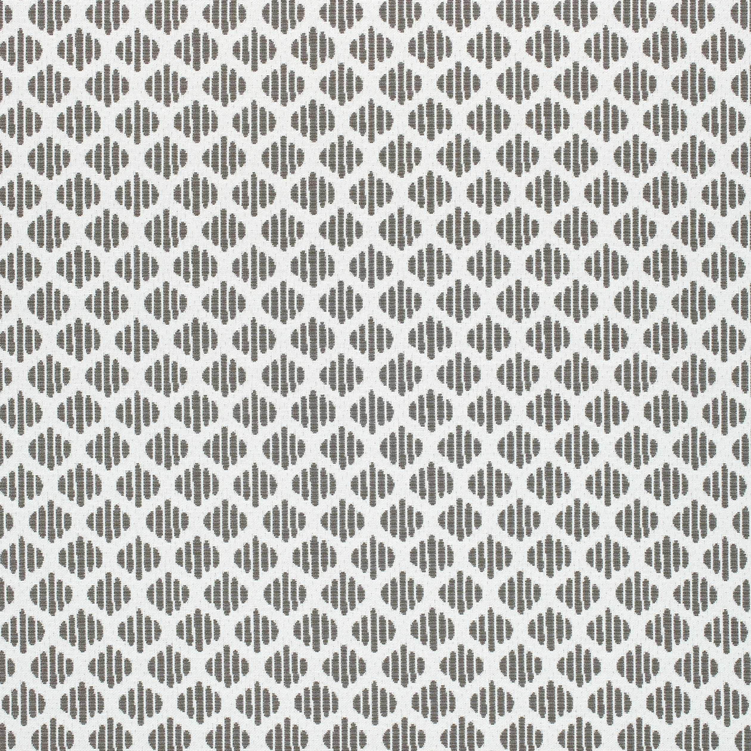 Thibaut Sadie in Grey (W73509)