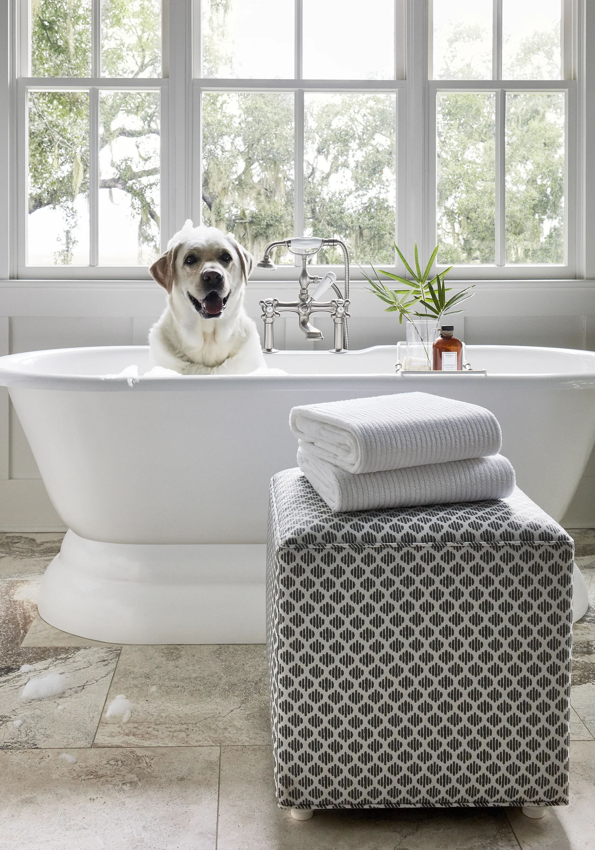 Thibaut Sadie in Grey (W73509)