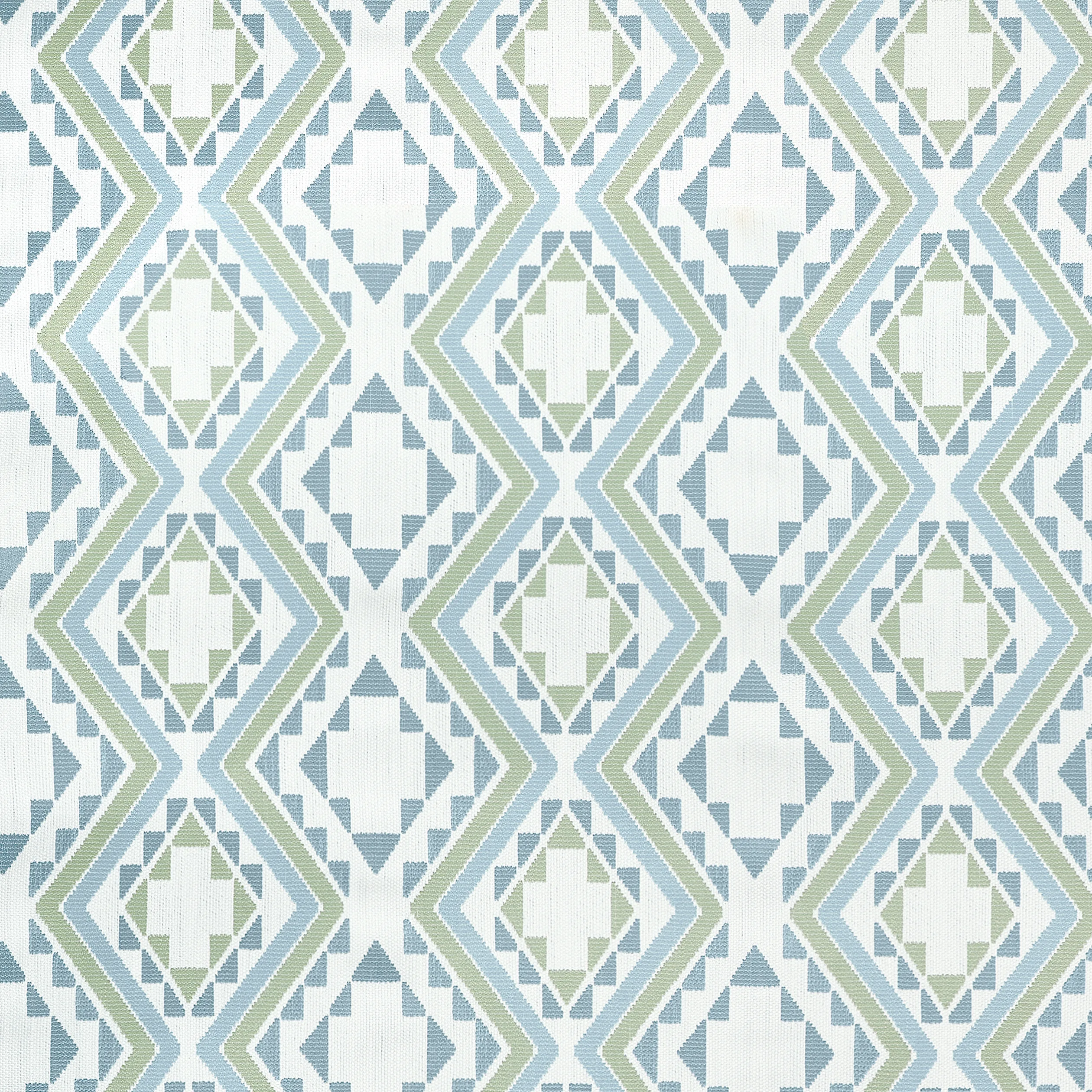 Thibaut Sagamore in Aloe and Mineral (W711111)