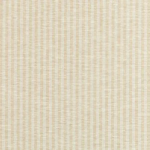Thibaut Salem Stripe in Linen (W9136)