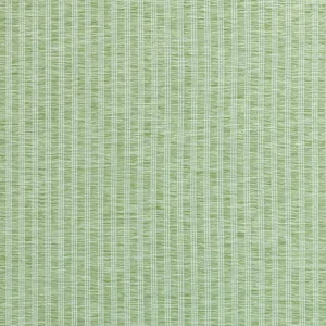 Thibaut Salem Stripe in Mojito (W9138)