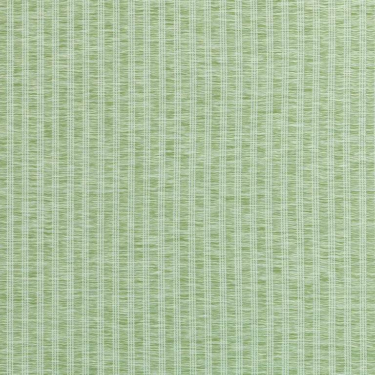 Thibaut Salem Stripe in Mojito (W9138)