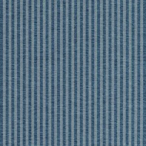 Thibaut Salem Stripe in Navy (W9139)