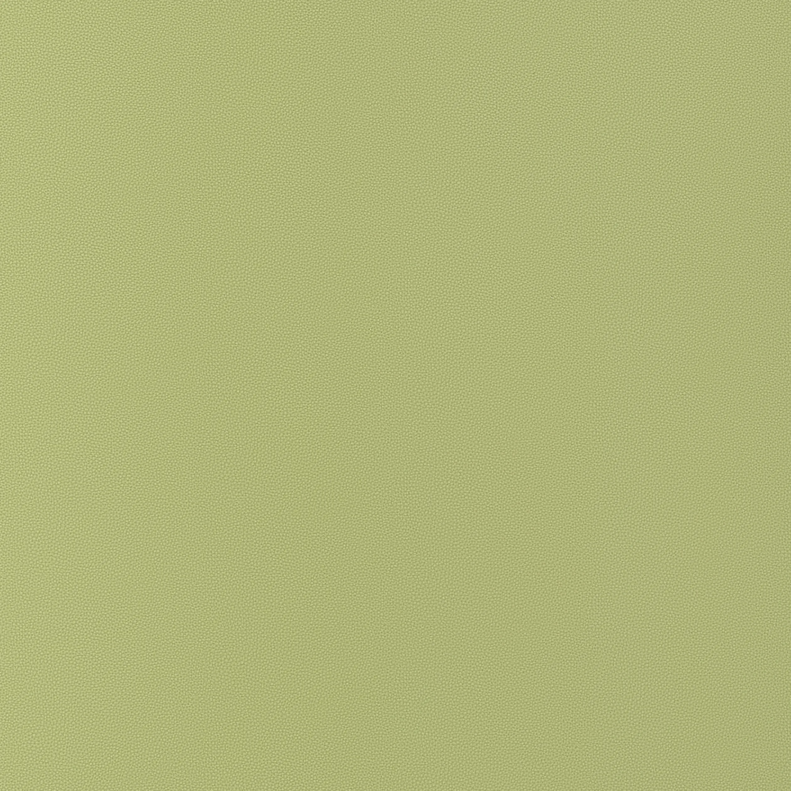 Thibaut Salta in Apple (W9029)