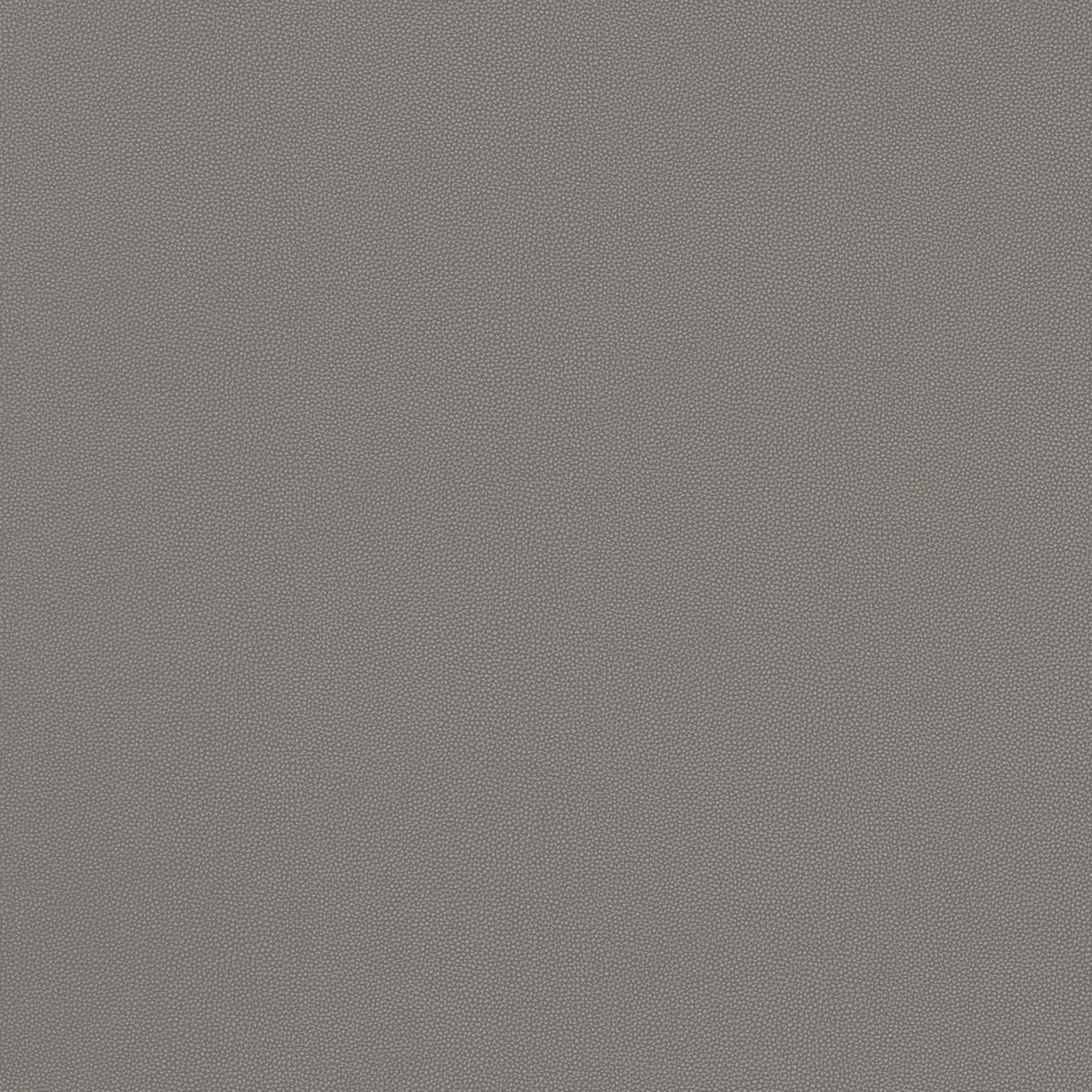 Thibaut Salta in Ash (W9033)