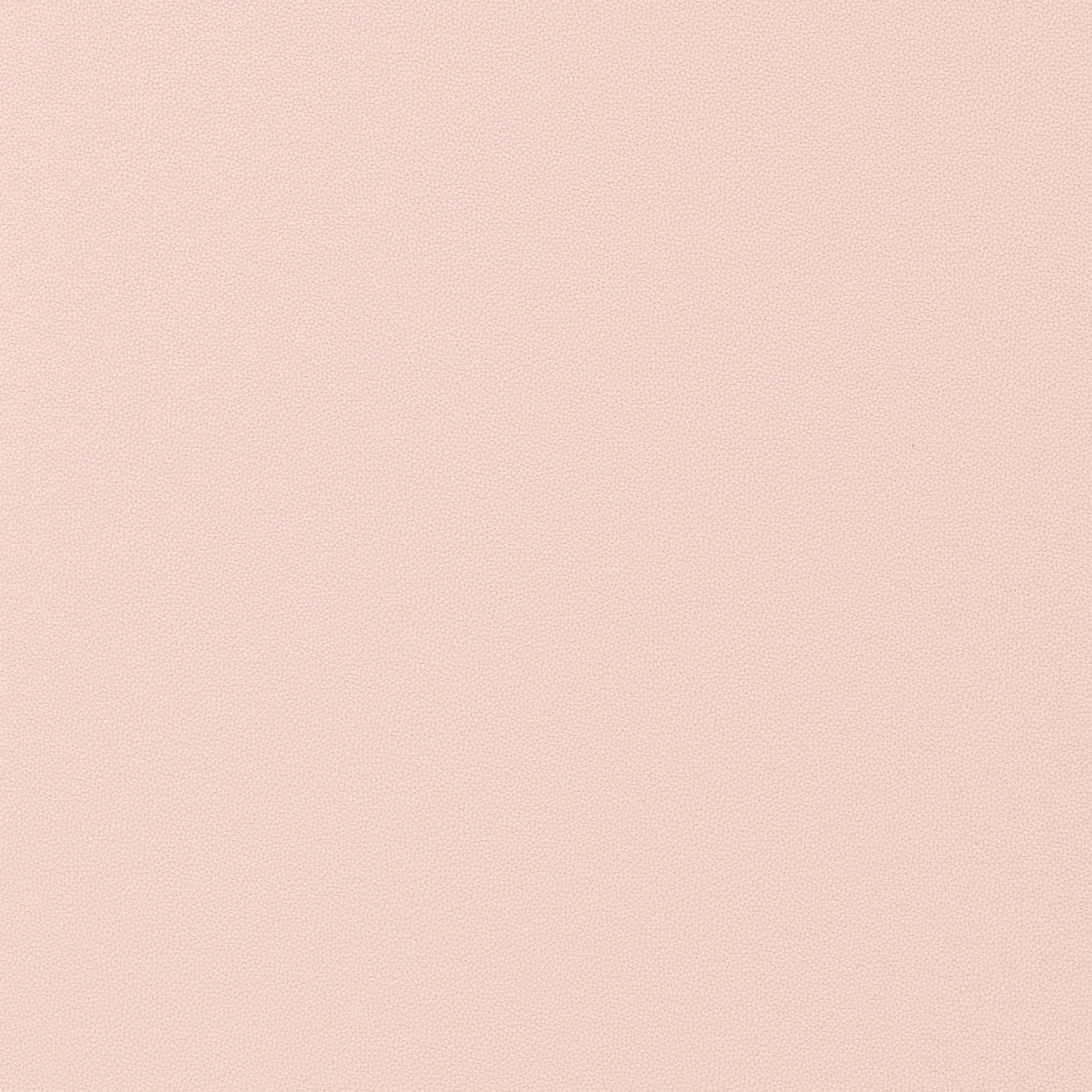 Thibaut Salta in Blush (W9018)