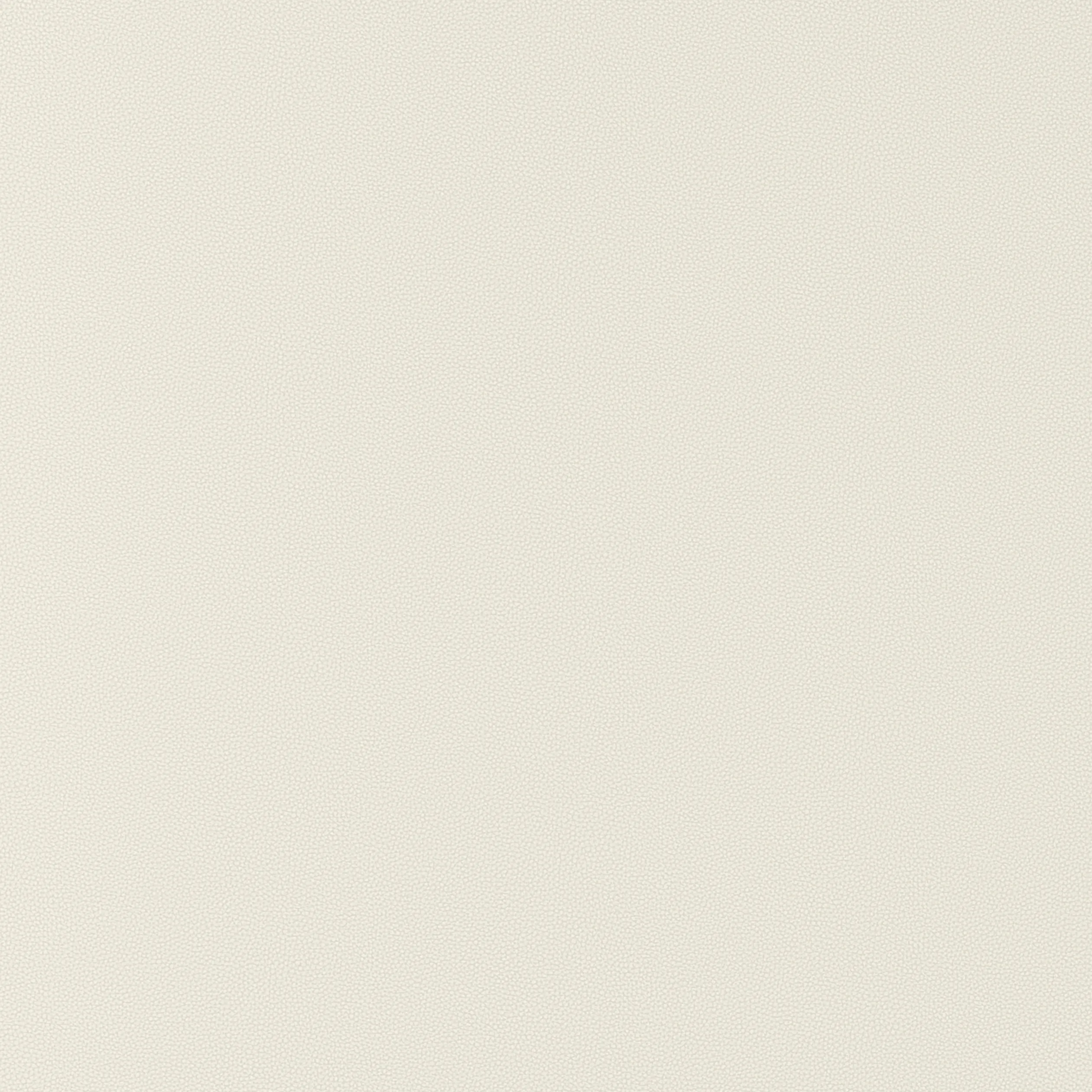 Thibaut Salta in Bone (W9017)