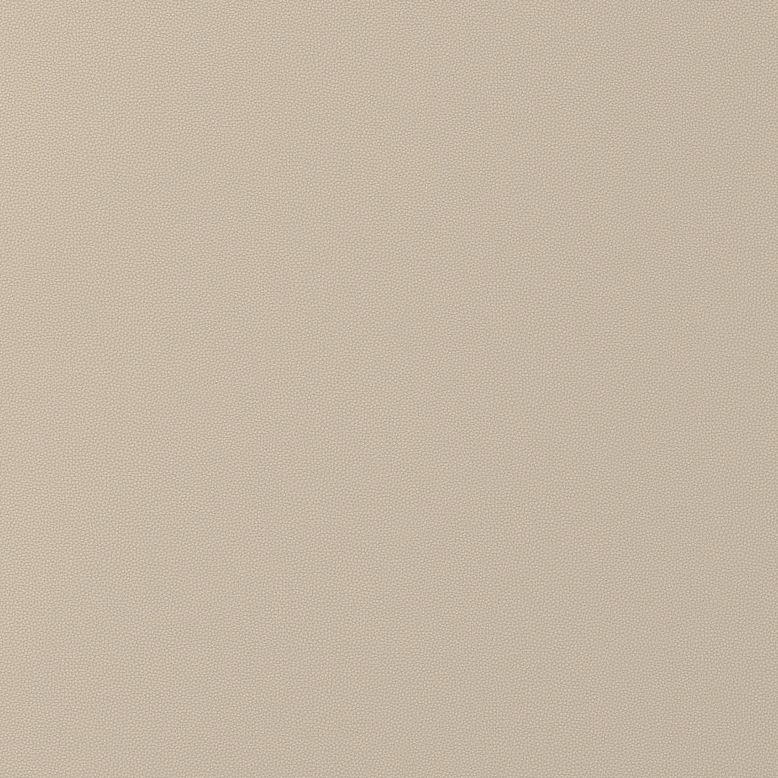 Thibaut Salta in Dune (W9016)