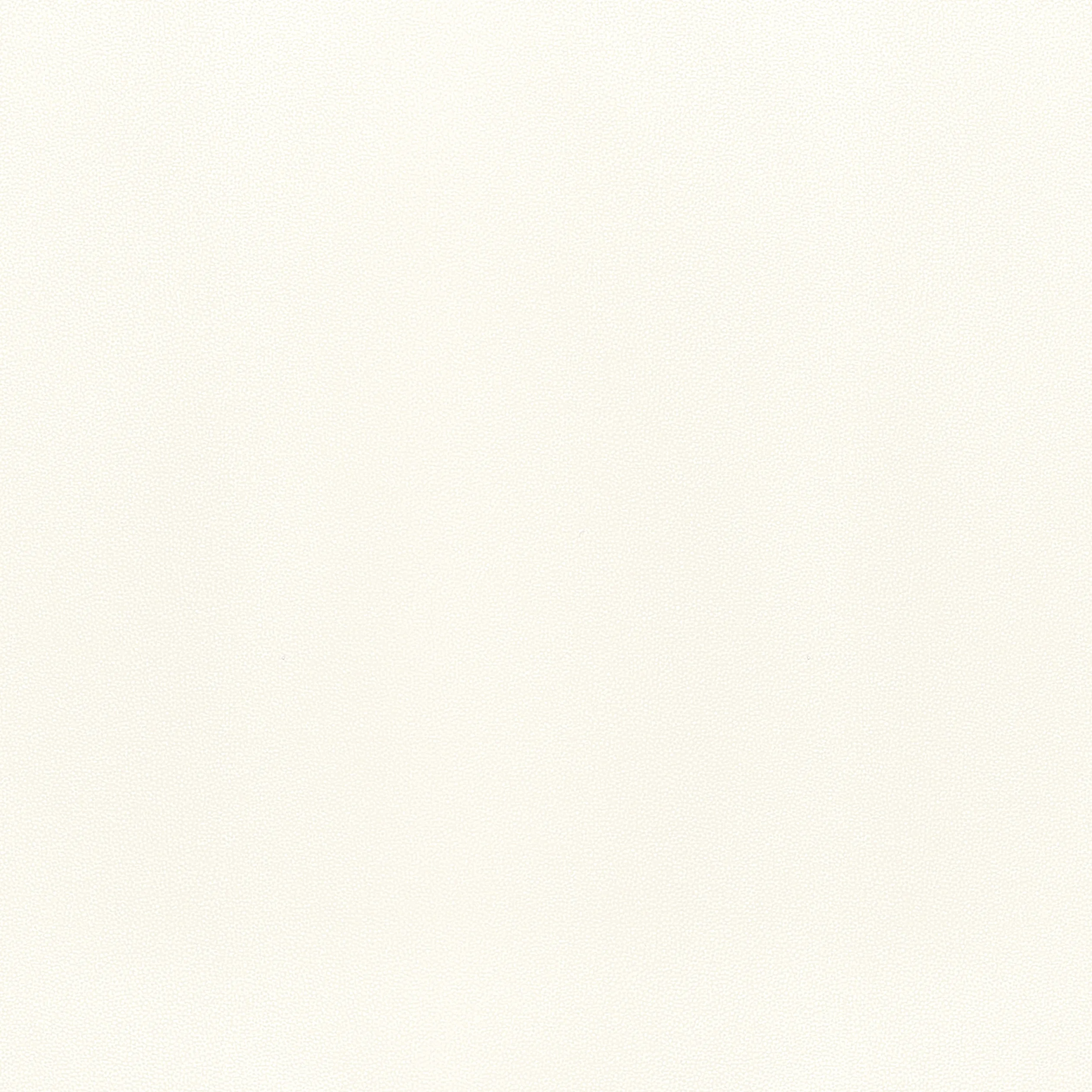 Thibaut Salta in Ivory (W9013)