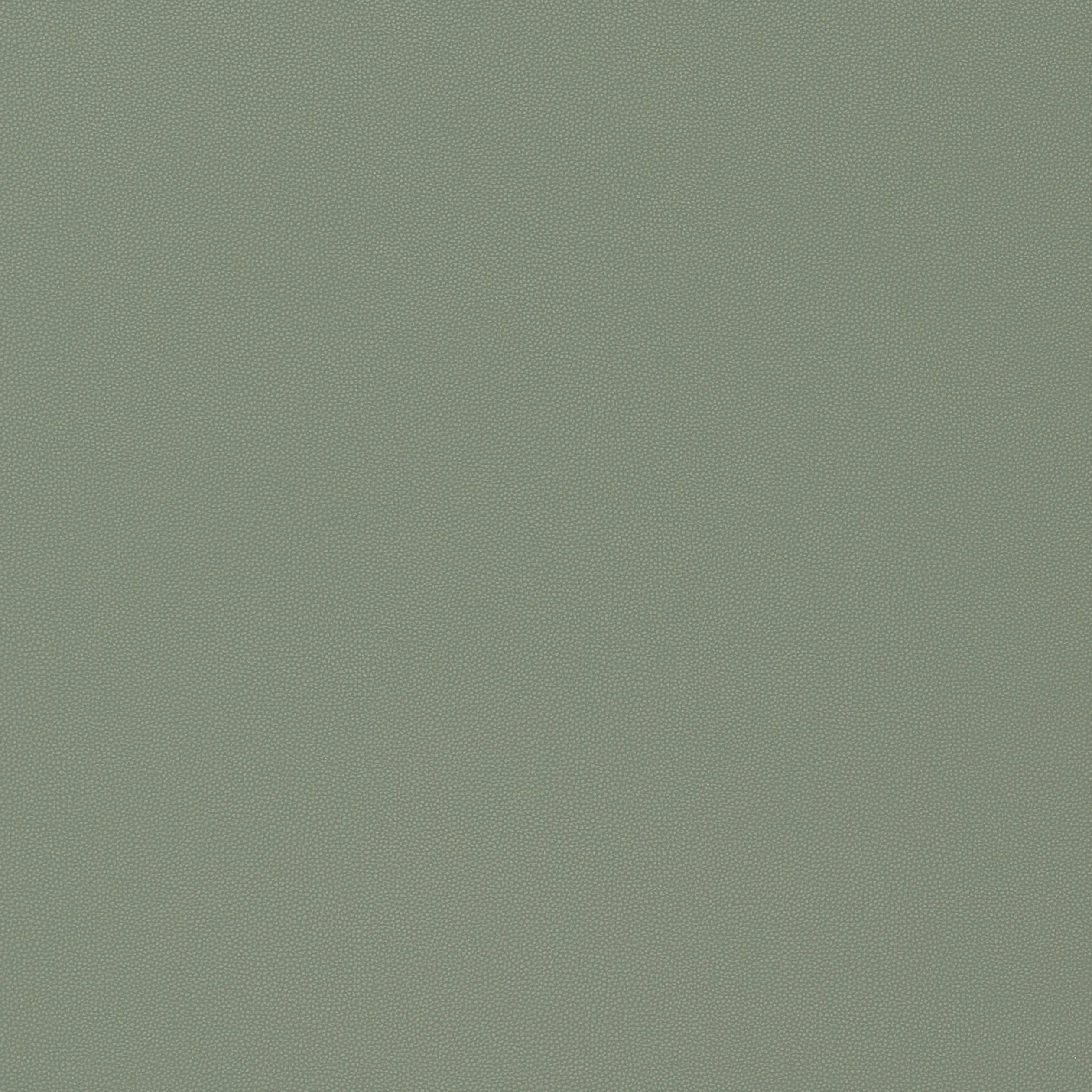 Thibaut Salta in Jade (W9025)