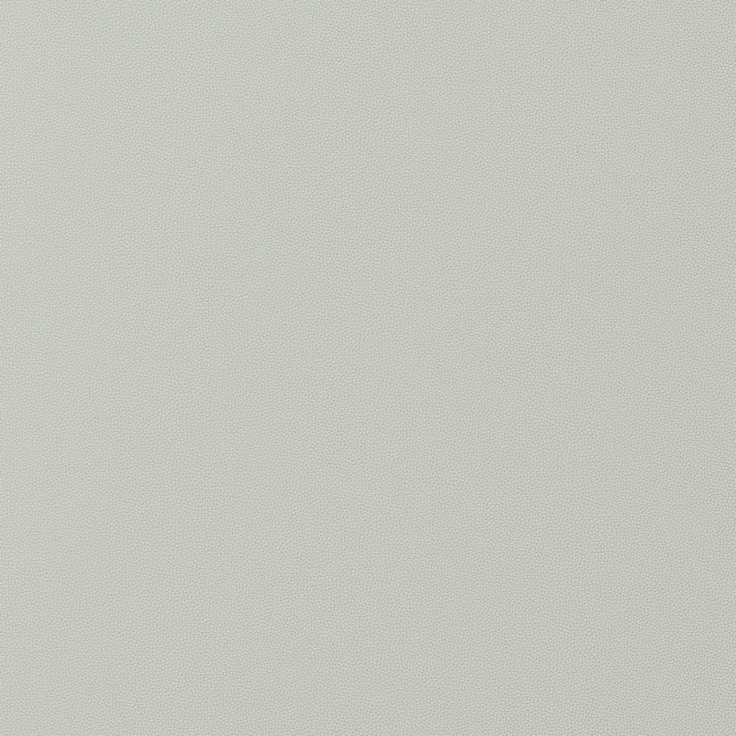 Thibaut Salta in Mist (W9023)