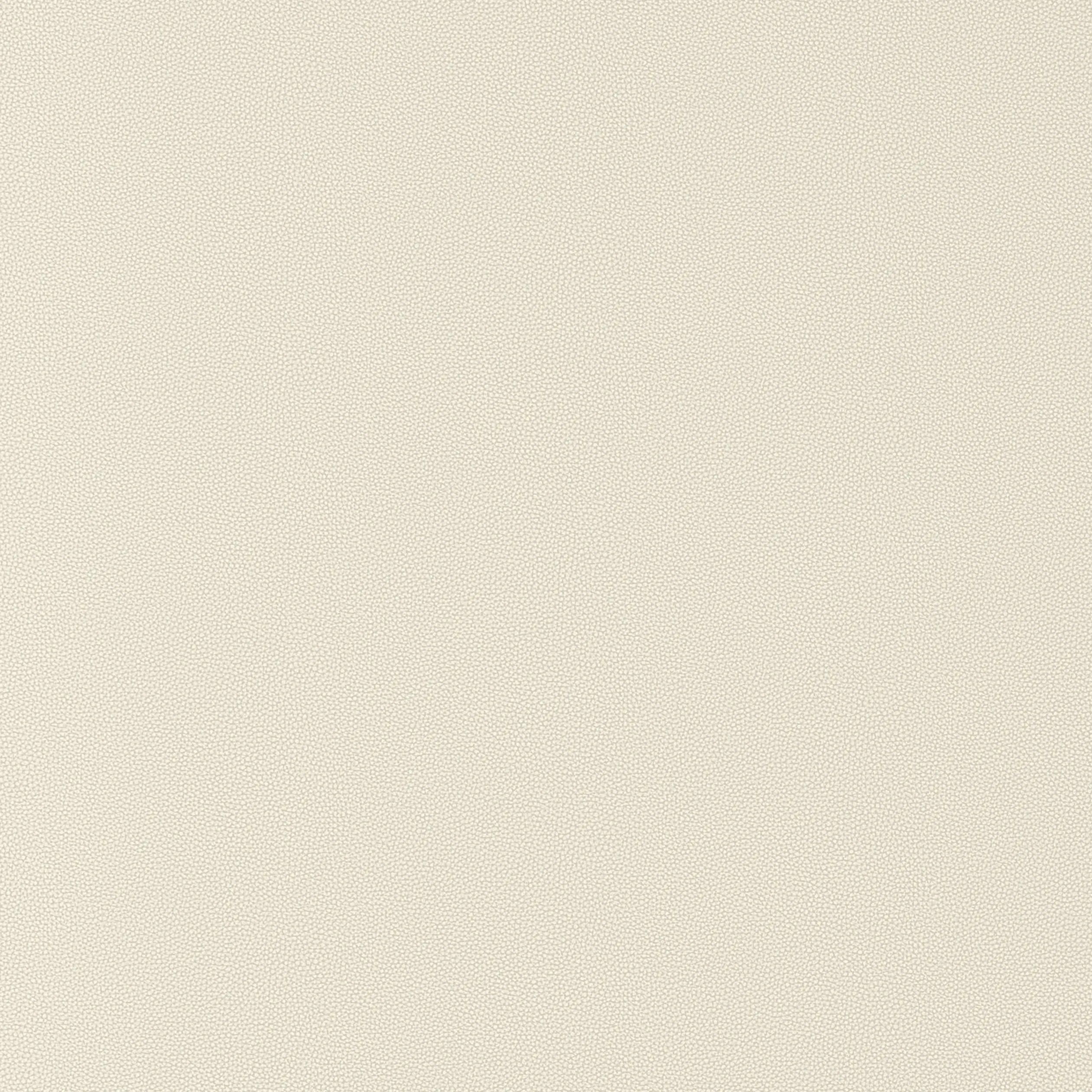 Thibaut Salta in Putty (W9015)