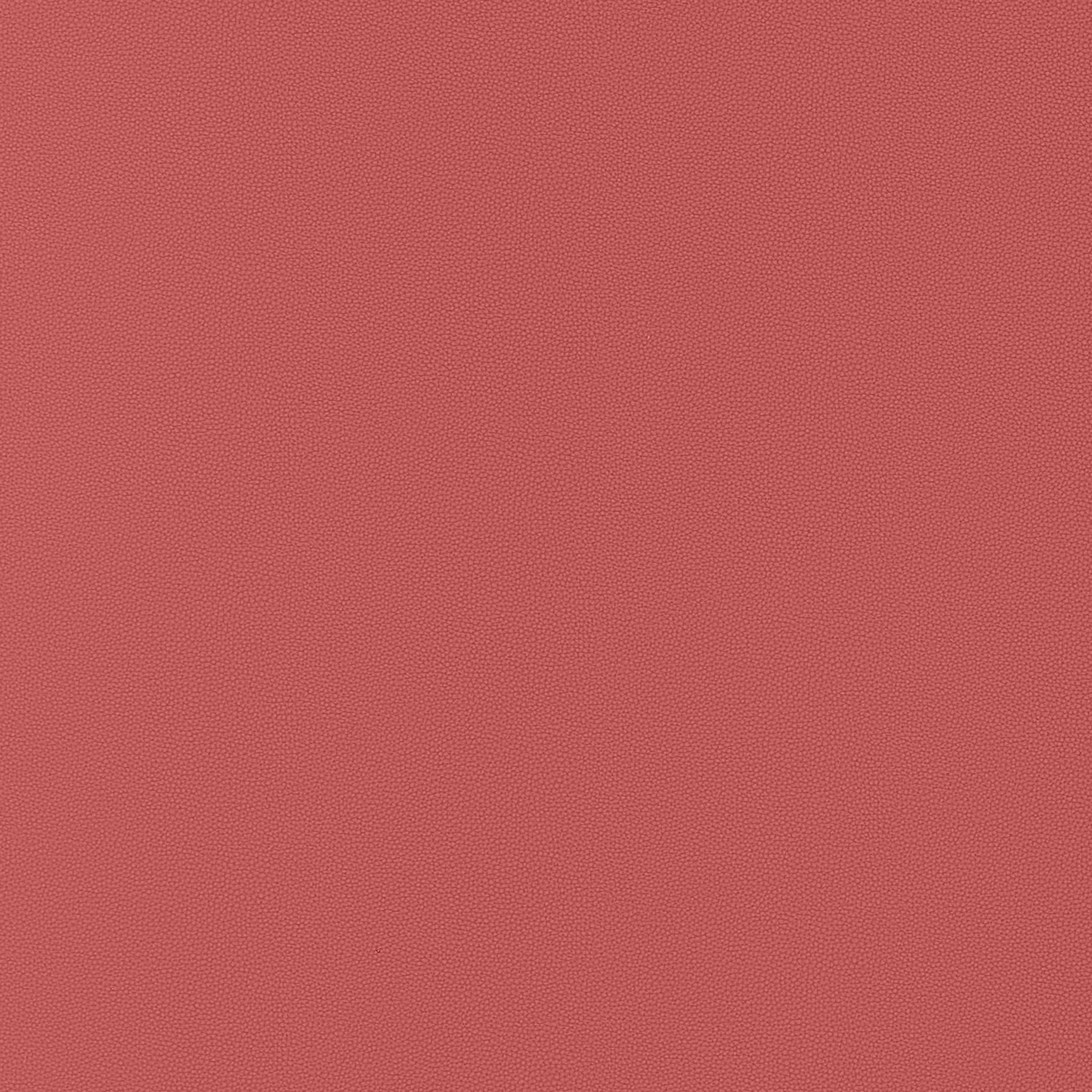 Thibaut Salta in Rouge (W9019)