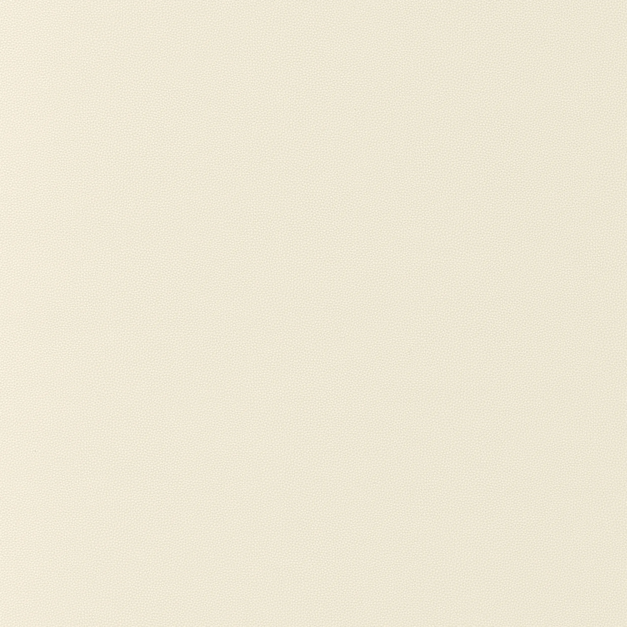 Thibaut Salta in Sugar (W9014)