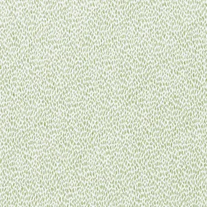 Thibaut Samara in Mojito (W9148)