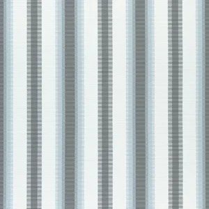 Thibaut Samba Stripe in Charcoal and Mineral (W74667)