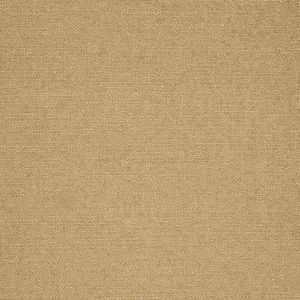Thibaut Sasso in Camel (W77104)