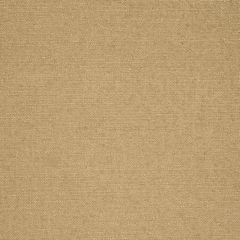 Thibaut Sasso in Camel (W77104)