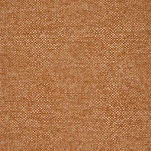 Thibaut Sasso in Copper (W77105)