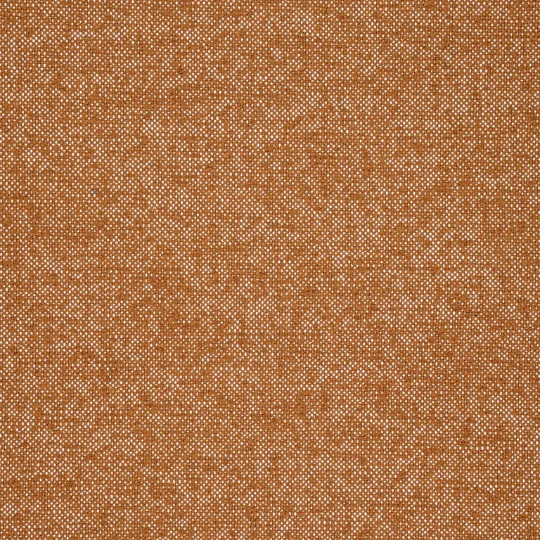 Thibaut Sasso in Copper (W77105)