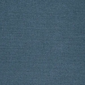 Thibaut Sasso in Indigo (W77112)