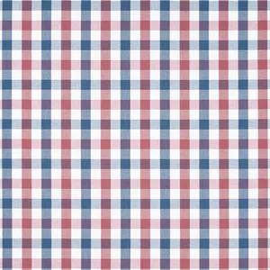Anna French Saybrook Check in Blue and Red (AW15153)