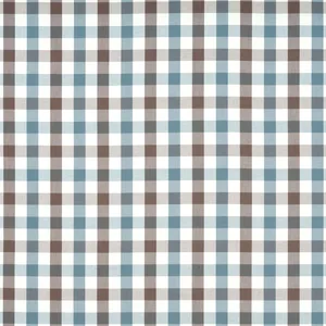 Anna French Saybrook Check in Brown and Slate (AW15154)