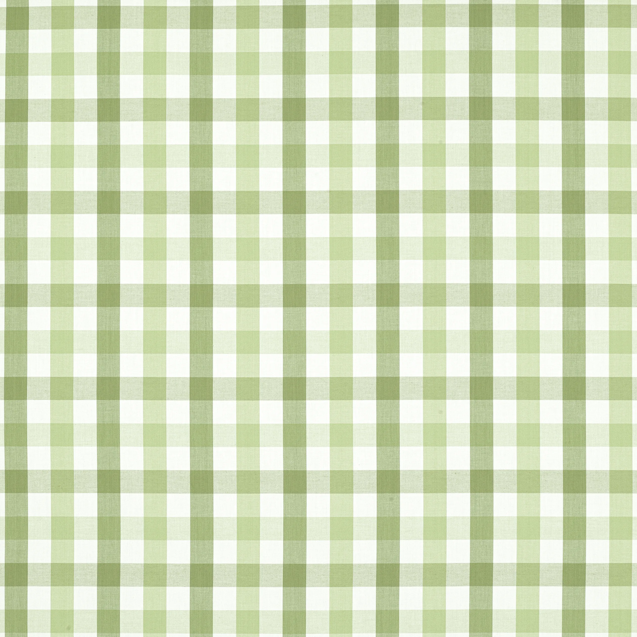 AW15145 | Saybrook Check – Green