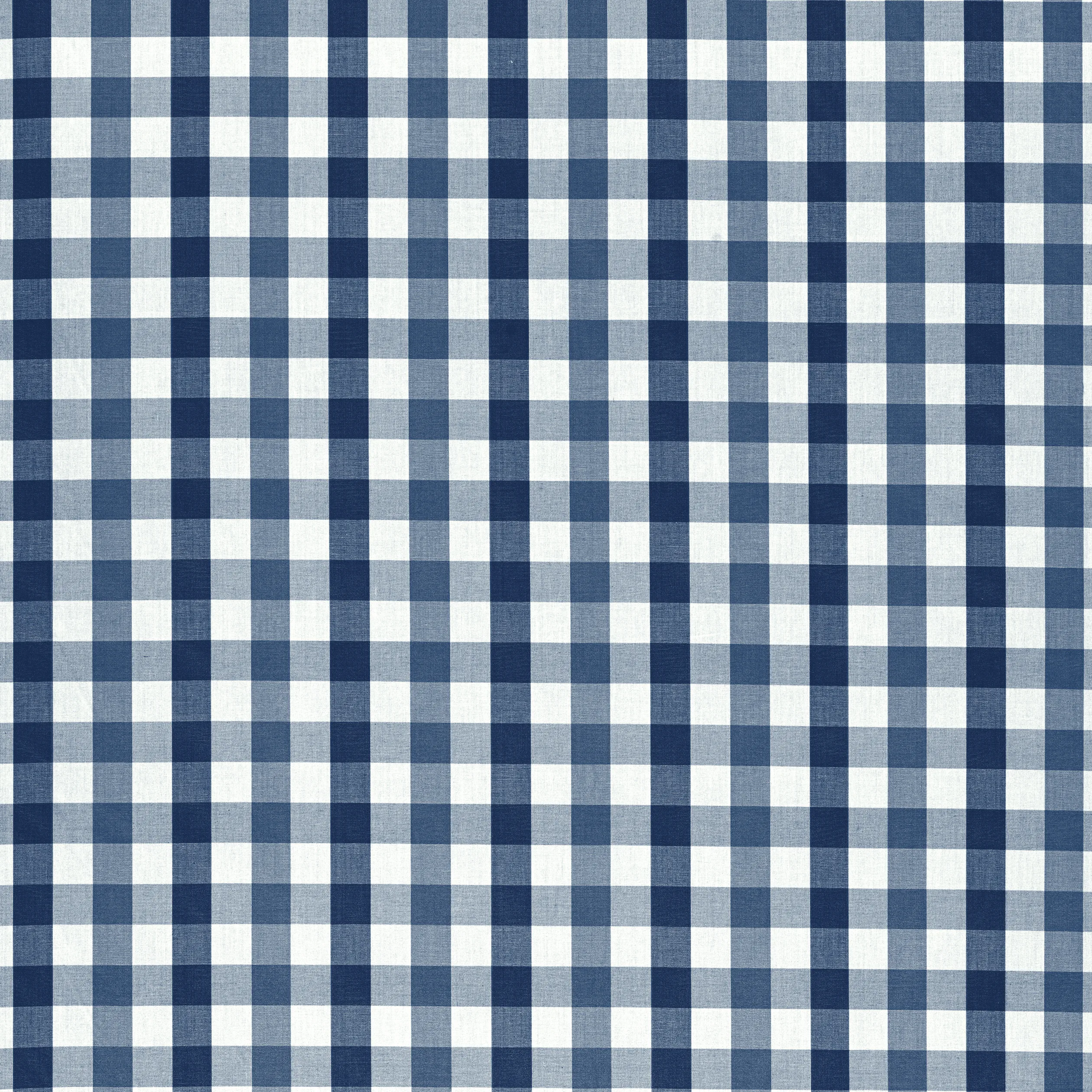 Anna French Saybrook Check in Navy (AW15146)