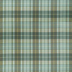 Thibaut Scot's Plaid in Sage (W710535)