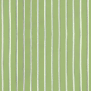 Thibaut Seaside Stripe in Kiwi (W81783)