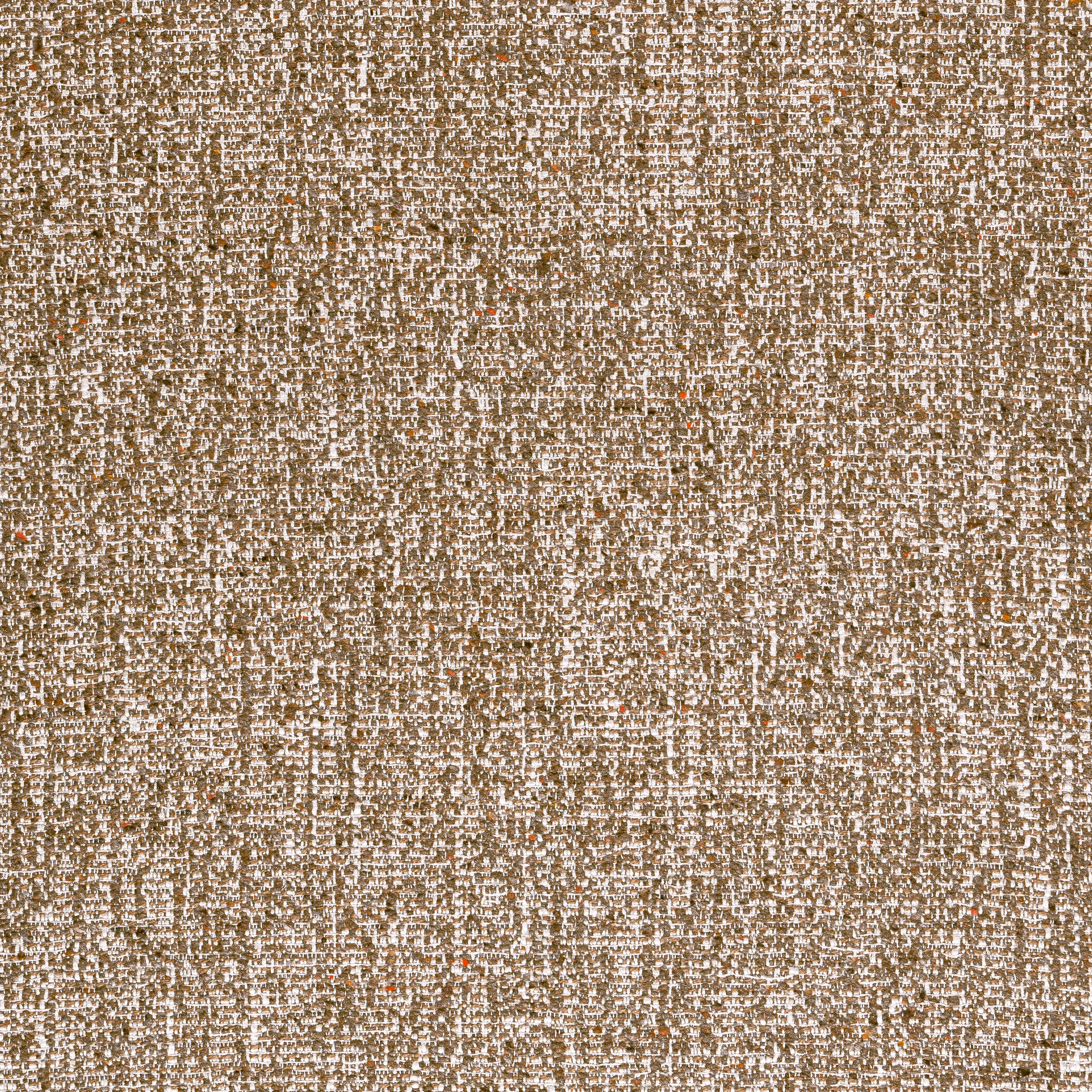 Thibaut Shannon in Bark (W80937)