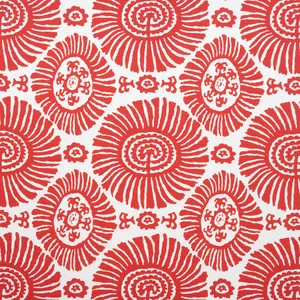 Thibaut Solis in Coral (F910080)