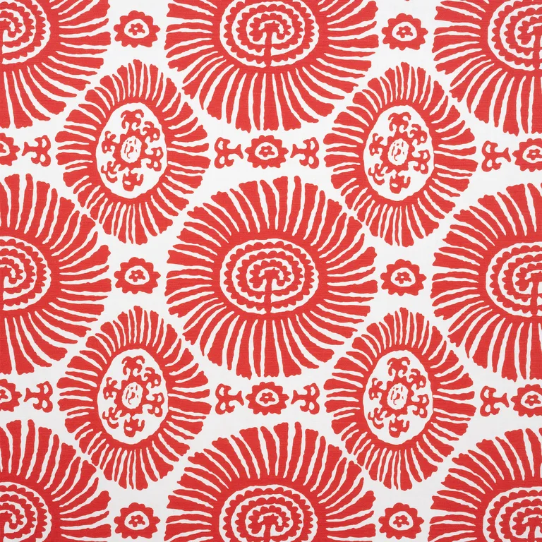 Thibaut Solis in Coral (F910080)