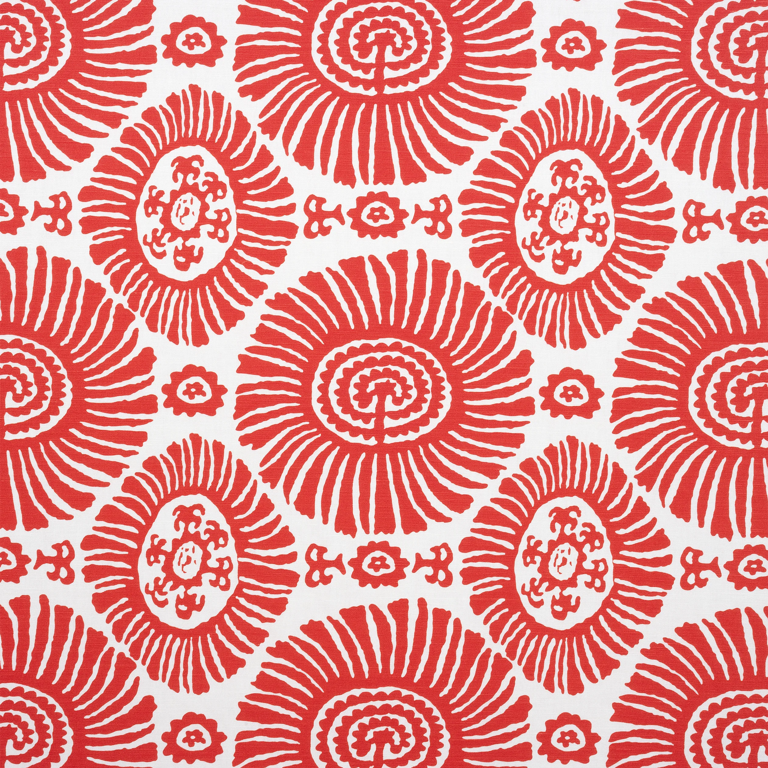Thibaut Solis in Coral (F910080)