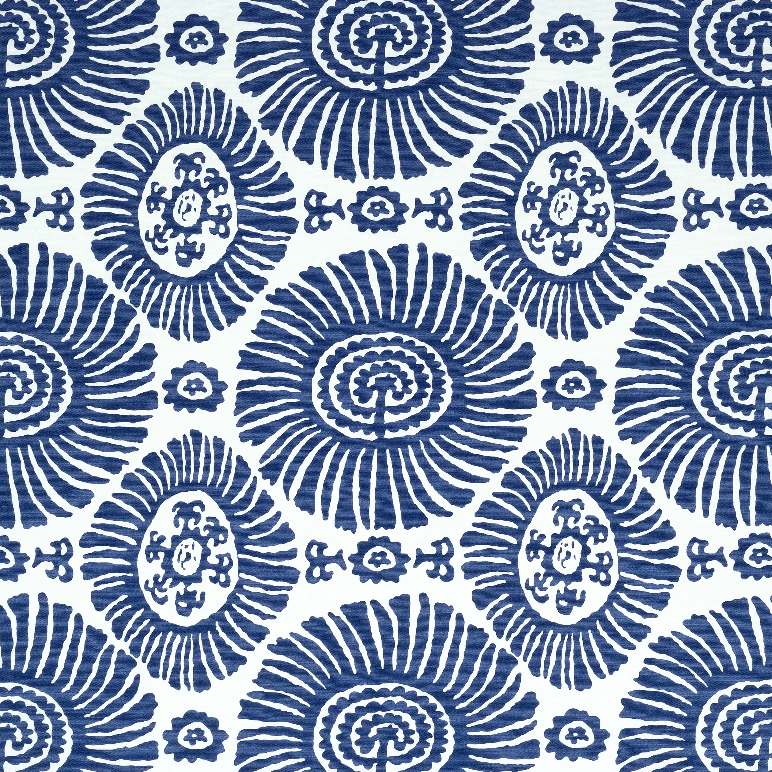 Thibaut Solis in Navy (F910083)