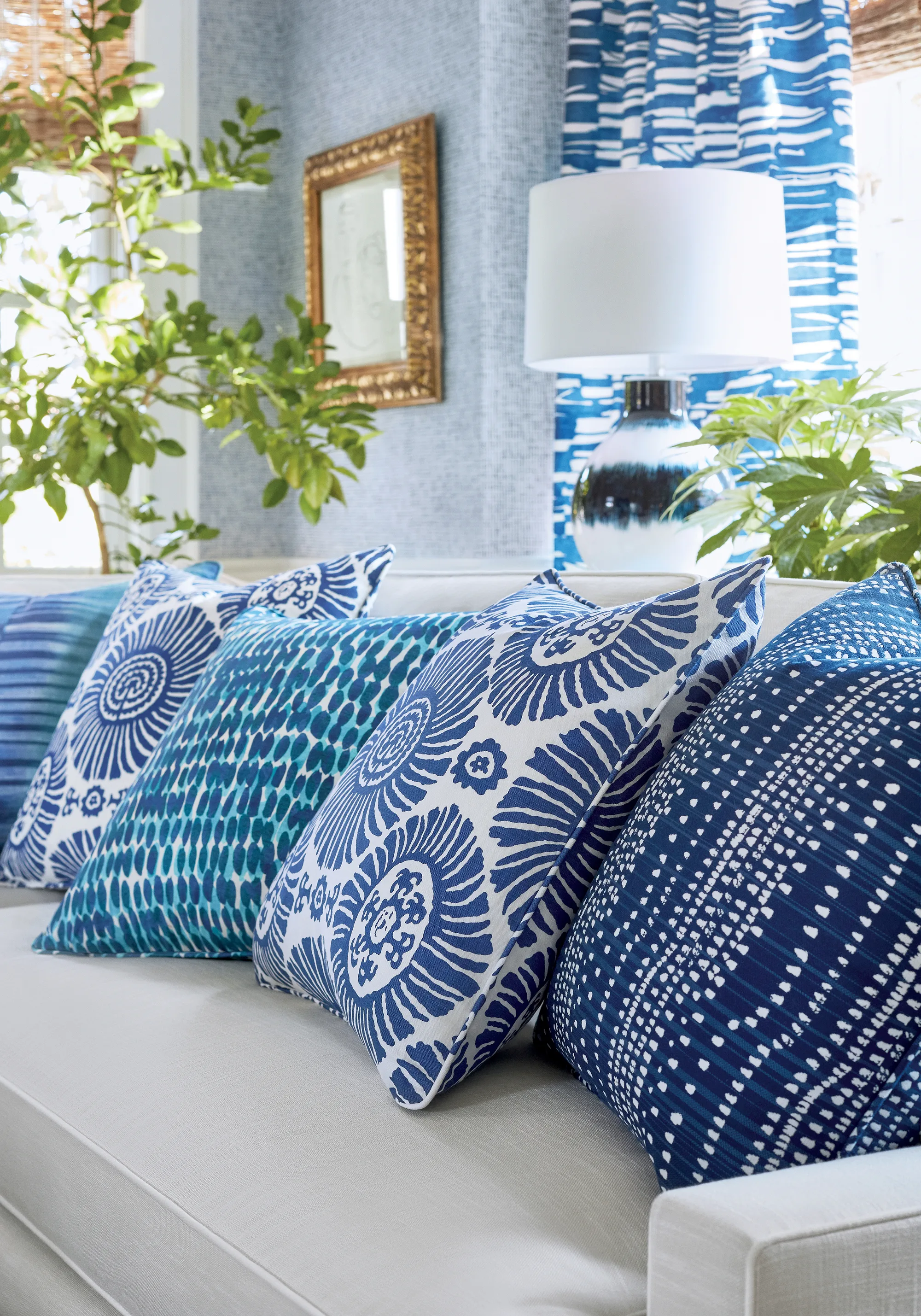 Thibaut Solis in Navy (F910083)
