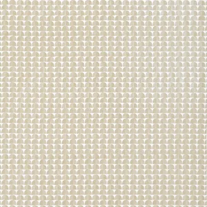 Thibaut Solsbury in Beige (F945022)