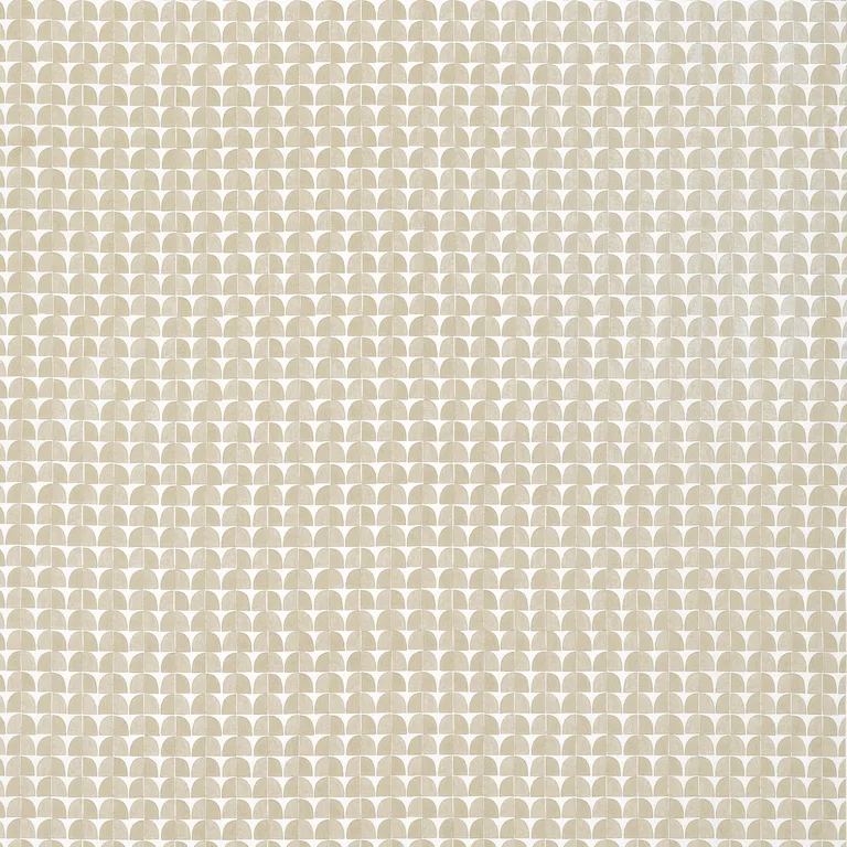 Thibaut Solsbury in Beige (F945022)
