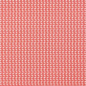 Thibaut Solsbury in Coral (F945021)